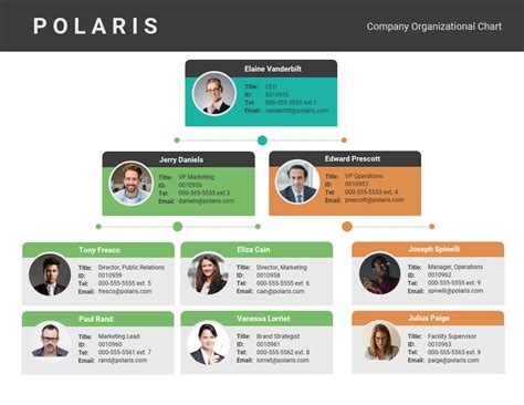 11 Types Of Charts And How Businesses Use Them Venngage