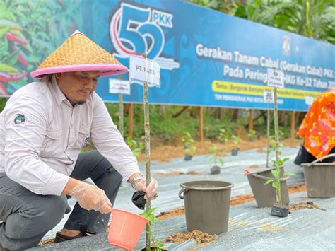 PAMA Dukung Program Nasional Tanam Cabai Dan Pohon Buah Gawaiberita Co