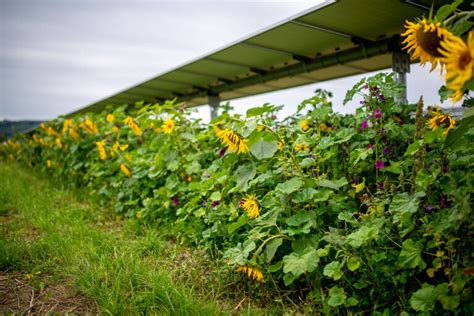 Zim Agri V Zimmermann Pv Agri