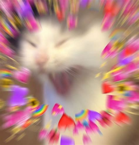 Wholesome Cat Memes Hearts Google Search Cute Cat Memes Cute Love