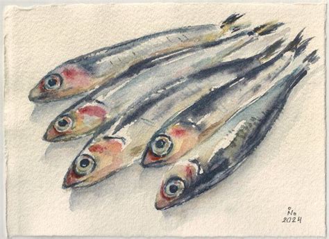 Anchovies 2024 Watercolour By Ilona Borodulina 2024