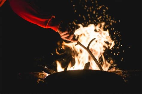 Fotos Gratis Naturaleza Bosque Ligero Noche Bengala Llama Fuego