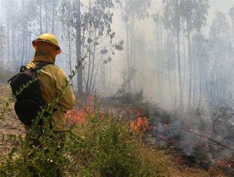 Cartagena Controlado Se Encuentra El Incendio Forestal Que Afecta