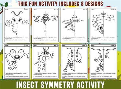 Insect Symmetry Worksheet Insect Theme Lines Of Symmetry Activity 24