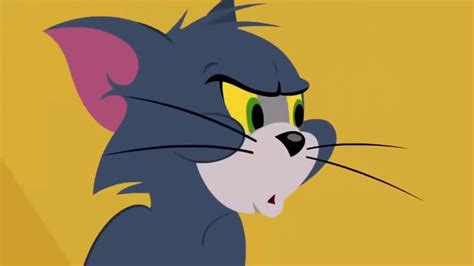 TOM AND JERRY SMARTY CAT , FULL CARTOONS 2017 HD, KIDS TV 2017 | FunnyCat.TV