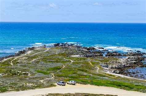 Agulhas National Park - Overberg, South Africa - Around Guides