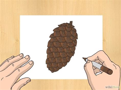 How To Draw A Pinecone 6 Steps With Pictures Wikihow Pine Cone Drawing Drawings Pine Cones