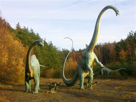 What Allowed Sauropods To Get Big And What Kept Them From Getting Any Bigger Sauropod