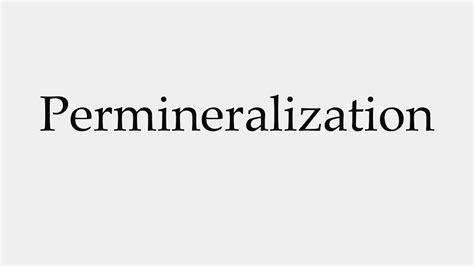 How to Pronounce Permineralization - YouTube