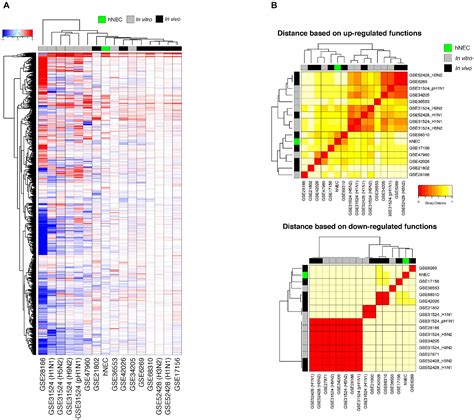 Frontiers Comparative Transcriptomic And Metagenomic Analyses Of