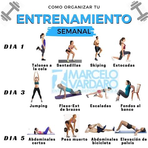 RUTINA SEMANAL PARA HACER EN CASA Te Dejamos La Rutina Semanal