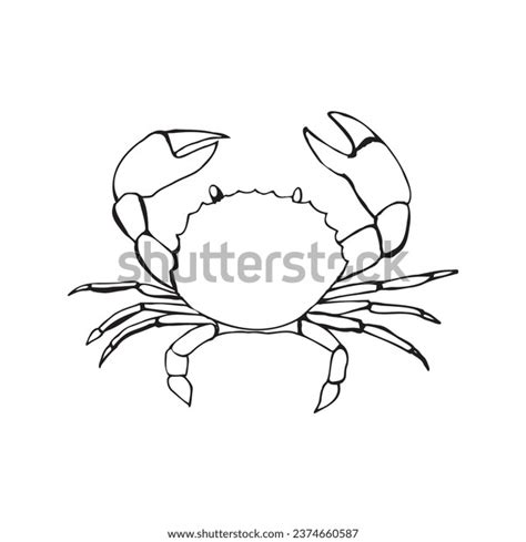 Drawing Crab Line Art Vector Illustration Stock Vector (Royalty Free ...