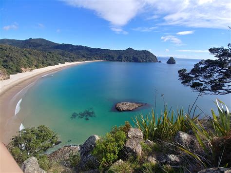 Nature - Documentaries added a... - Nature - Documentaries