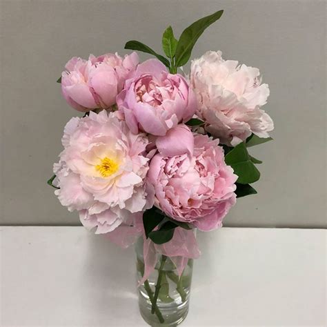 Fresh Peony Flowers Delivered Around Adelaide Peony Flower Bouquets