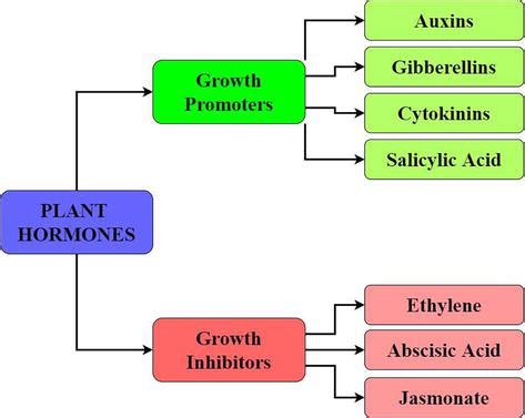 Phytohormones As Plant Growth Regulators And Safe Protectors Against