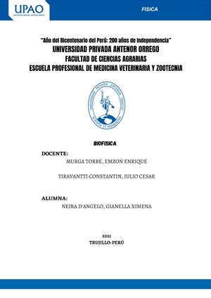 Informe N 03 Fuerza Muscular En El Salto Vertical Murga Terminado