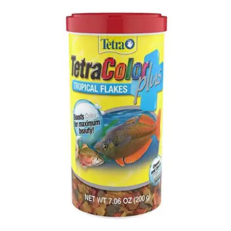 The Best Tropical Fish Food Options