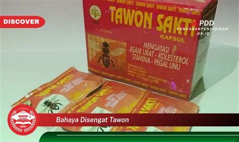 Inilah Bahaya Disengat Tawon Yang Wajib Diketahui