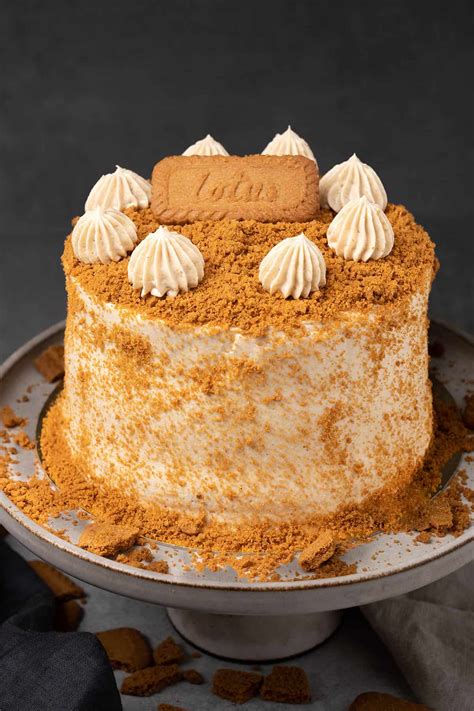 Lotus Biscoff Cake Video Spatula Desserts