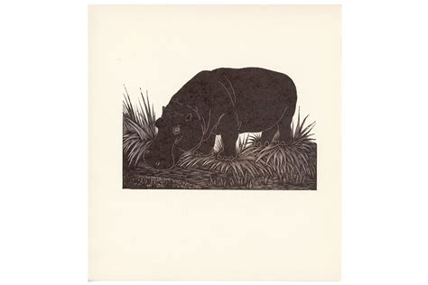 C 1920s Hippo Lithograph Original Antique Print Etsy