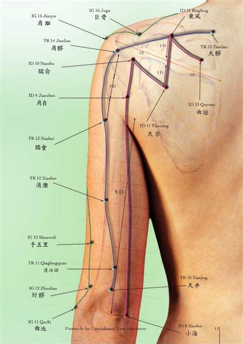 Acupuntura Atlas Fotogradico De Acupuntura Acupressure Treatment