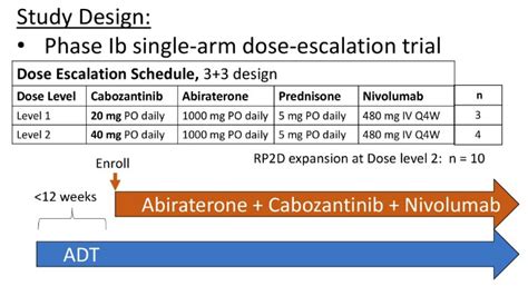 ASCO 2023 CABIOS Trial A Phase Ib Study Of Cabozantinib And Nivolumab