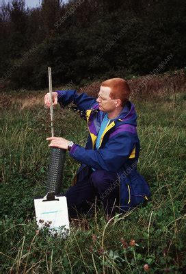 Forestry management - Stock Image - E760/0186 - Science Photo Library