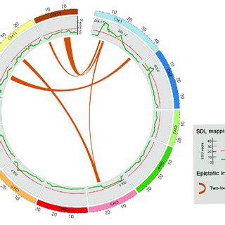 Illustration Of The Comparison Between Two Locus Sdls And Single Locus