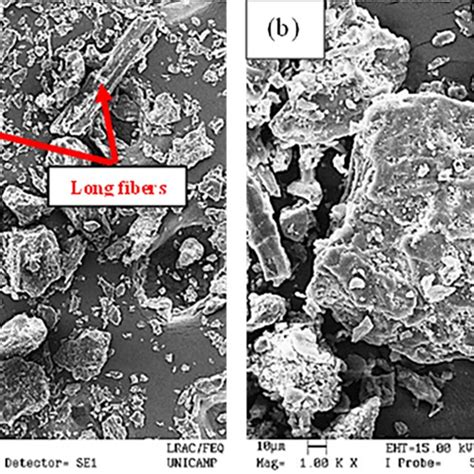 Sem Micrographs For Ch With A Magnification Of A 250× B 1000× Download Scientific Diagram