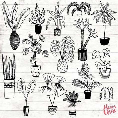 Potted Plant Clipart Black And White - bmp-central