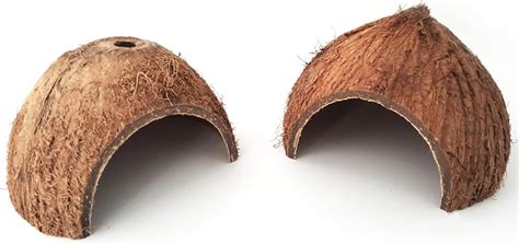 Lwingflyer Pcs Natural Coconut Shell Hut Habitat Hideout For Spiders