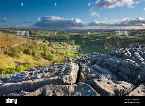 The Limestone Pavement Above Malham Cove Yorkshire Dales England UK