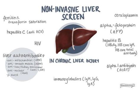 Non Invasive Liver Screen MEDizzy