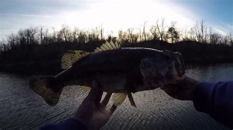 Winter Pond Bass Fishing Youtube