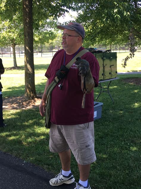 My Introduction into the Ancient Sport of Falconry – Mamal Diane