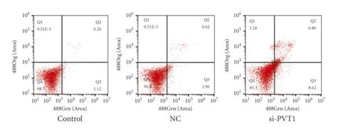 Knockdown Of Pvt1 Inhibits Tumor Cell Proliferation And Promotes