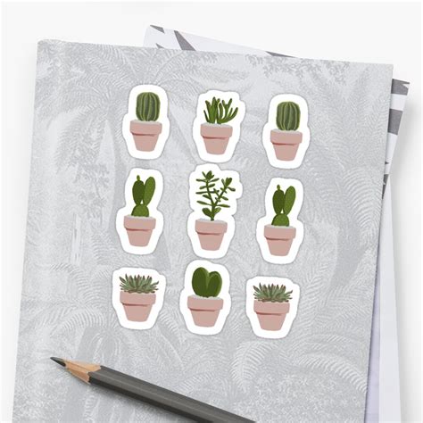 Cacti Succulent Stickers By Vicky Webb Redbubble