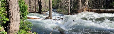 Chiwaukum Creek Trail Washington 61 Reviews Map AllTrails