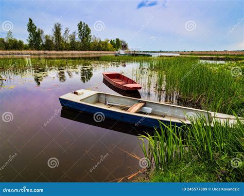 Boats On A River Stock Image Image Of Beautiful Grass 245577889