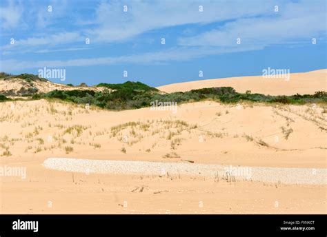 Aboriginal Midden Coorong National Park Fleurieu Peninsula South Australia Sa Australia