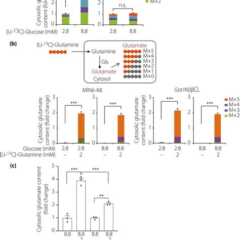 Amplifying Effects Of Glutamine On Insulin Secretion And Its