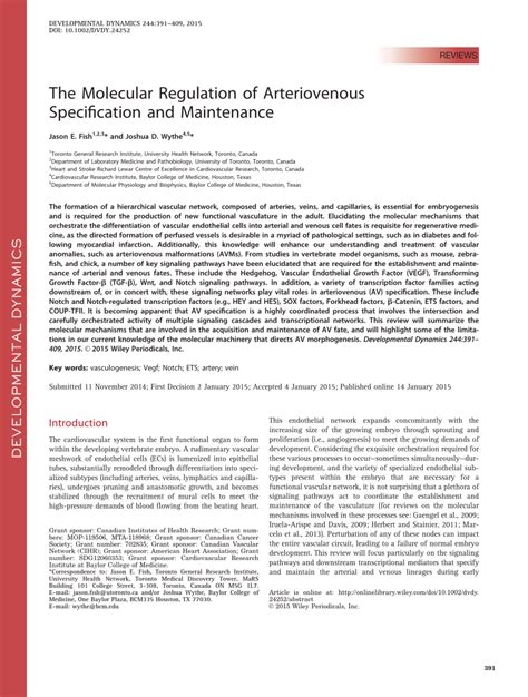 Pdf The Molecular Regulation Of Arteriovenous Specification And