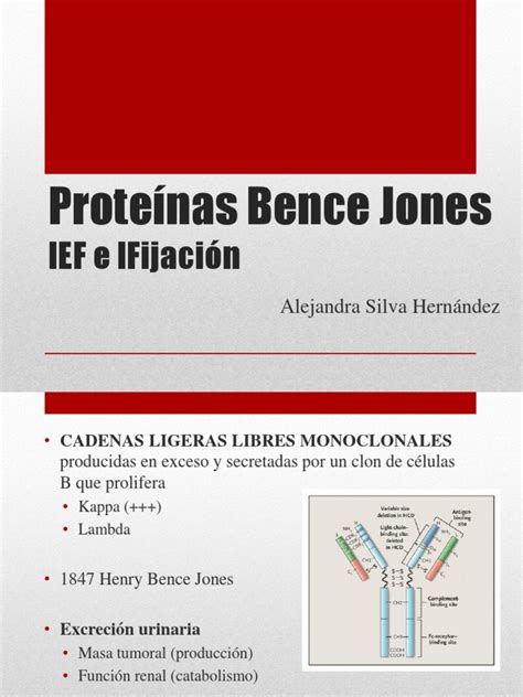 Pdf Prote Nas Bence Jones Dokumen Tips