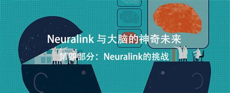 Neuralink与大脑的神奇未来 神经现实