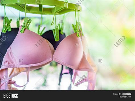 Beautiful Sexy Bras Image And Photo Free Trial Bigstock