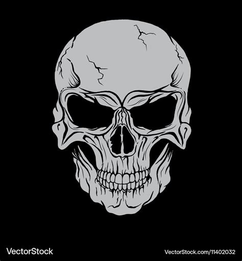 Skull Head Royalty Free Vector Image Vectorstock