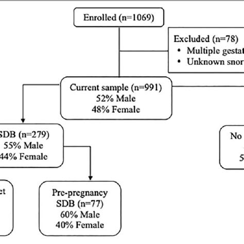 Flow Diagram Of Participants Included For Analyses And Sex Of Infants Download Scientific Diagram