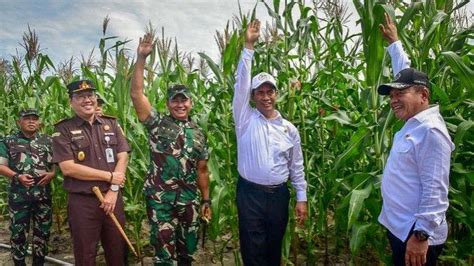 Tinjau Kawasan Food Estate Gunung Mas Kalteng Mentan Amran Sulaiman