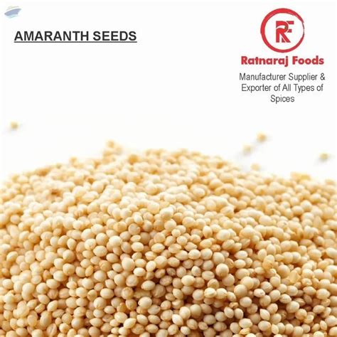 Amaranth Seed By Ratnaraj Foods Supplier From India Product Id 1501868