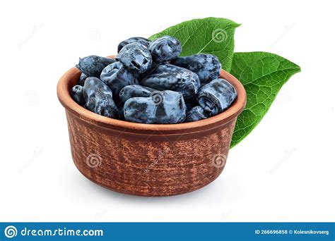 Fresh Honeysuckle Blue Berry In Ceramic Bowl Isolated On White